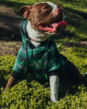 Dog Hoodie - Emerald Isle