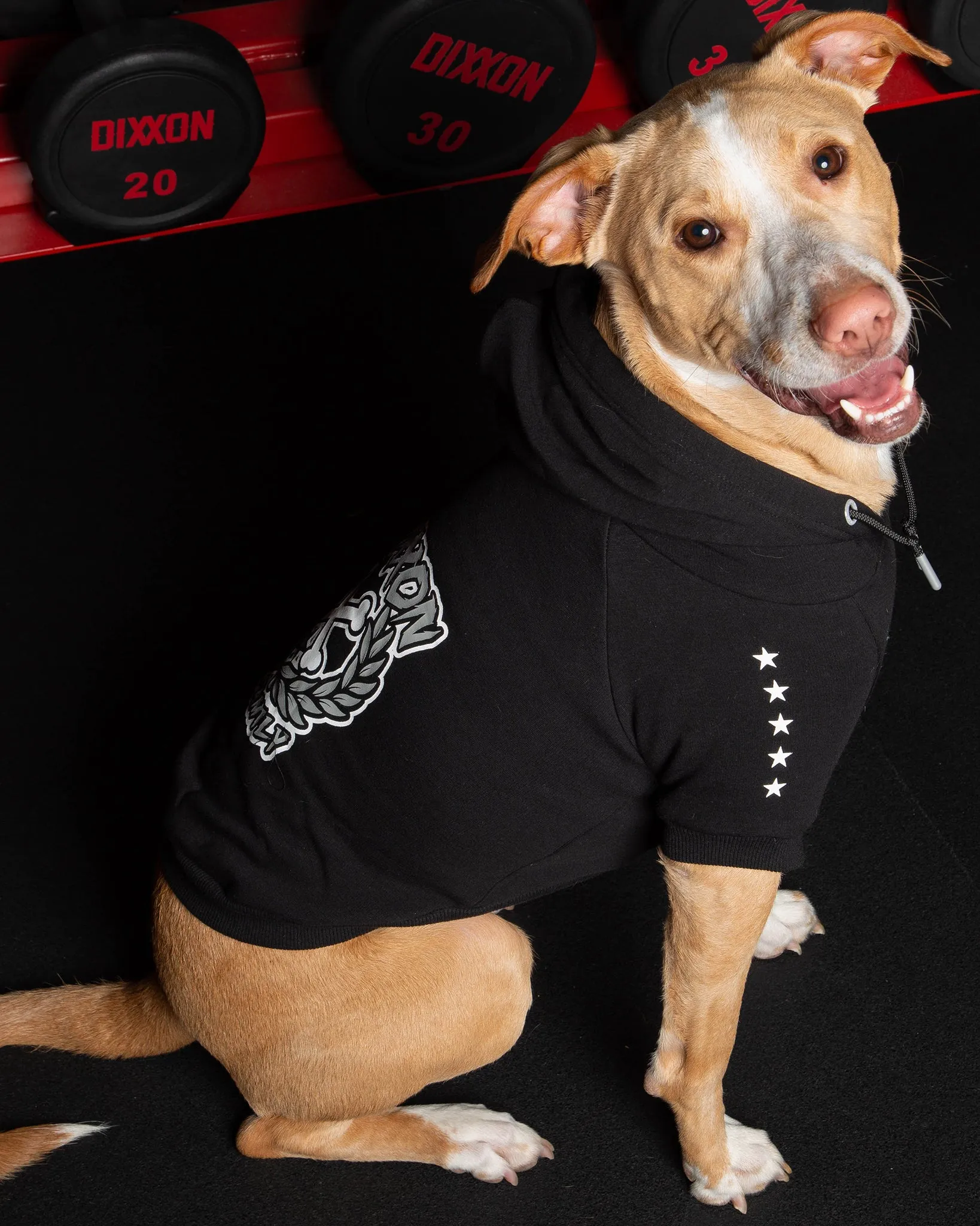 Dog Hoodie - Fur Family - Black & Gray