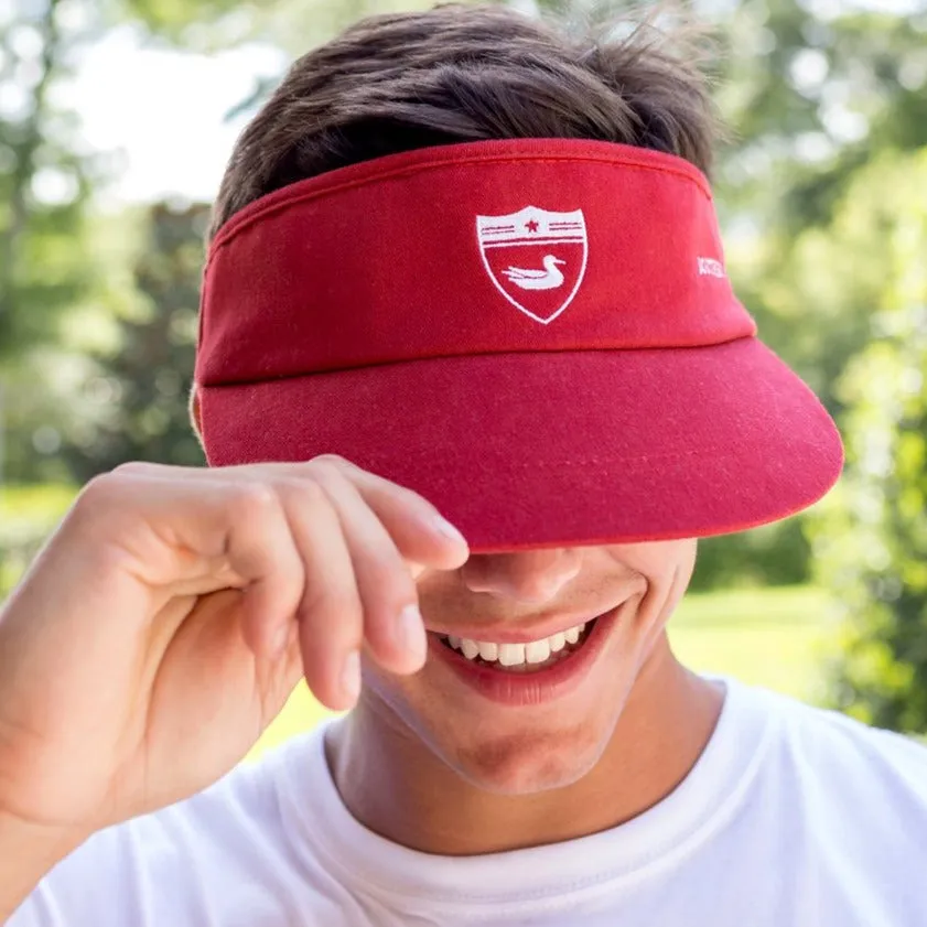 Tour Visor